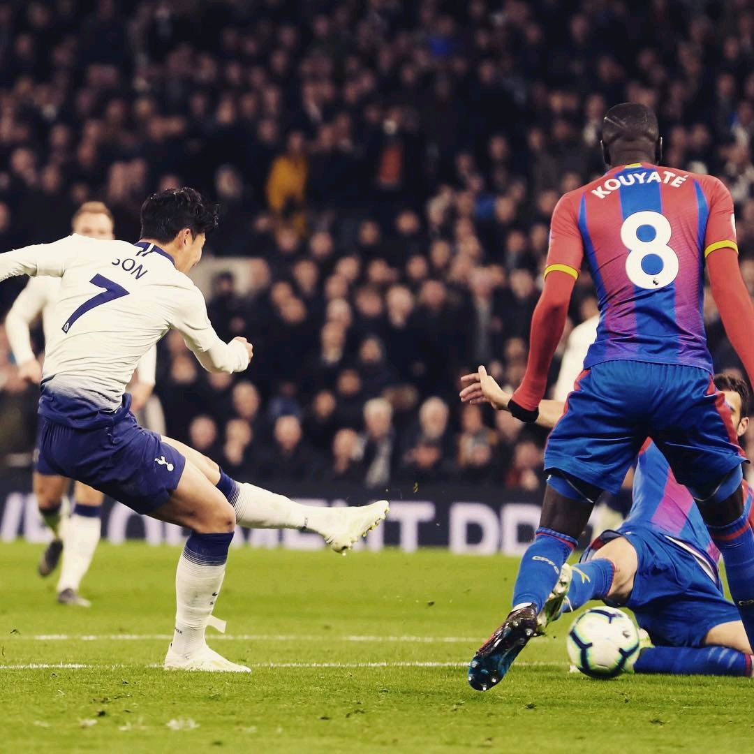 多元化的社 多元化的社